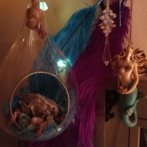 Contest - Picture 16 of 16